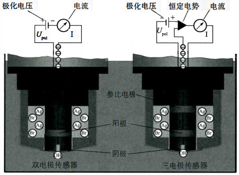 安培法溶解氧傳感器系統(tǒng)測(cè)量原理 安培法溶解氧傳感器系統(tǒng)測(cè)量原理